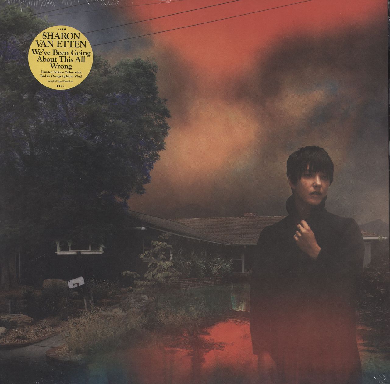 Sharon Van Etten We'Ve Been Going About This All Wrong - Yellow.