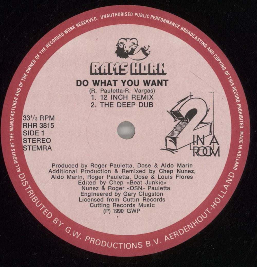 2 In A Room The 12 Inch Remixes : Do What You Want / Take Me Dutch 12" vinyl single (12 inch record / Maxi-single) 2IN12TH858403