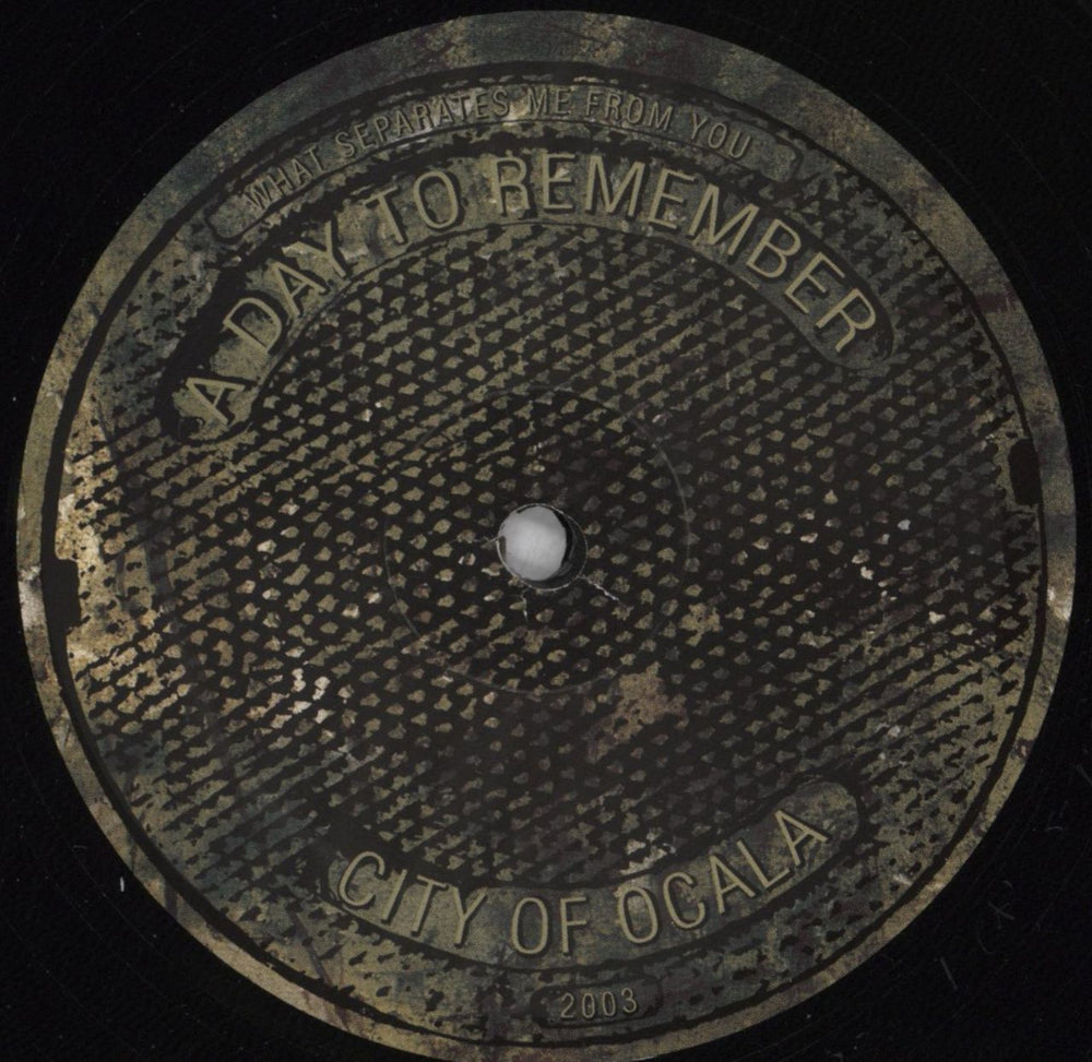 A Day To Remember What Separates Me From You US vinyl LP album (LP record) O70LPWH824082