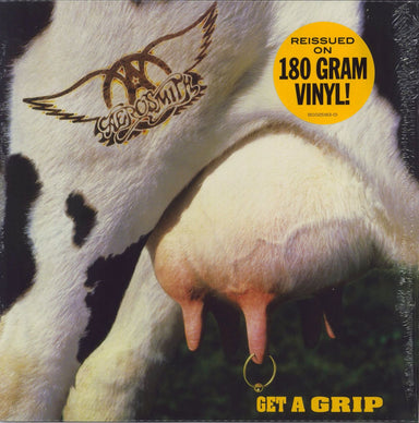 Aerosmith Get A Grip - 180 Gram Vinyl US 2-LP vinyl record set (Double LP Album) B0025184-01