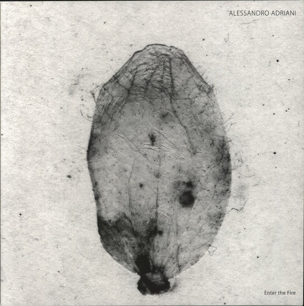 Alessandro Adriani Enter the Fire German 12" vinyl single (12 inch record / Maxi-single) SA031