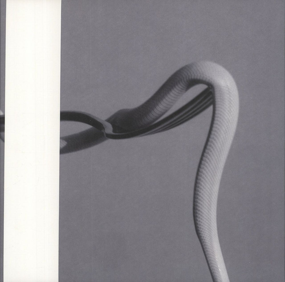 Animals As Leaders Parrhesia - Pink Opaque Vinyl US vinyl LP album (LP record)