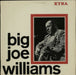 Big Joe Williams Big Joe Williams UK vinyl LP album (LP record) XTRA1033