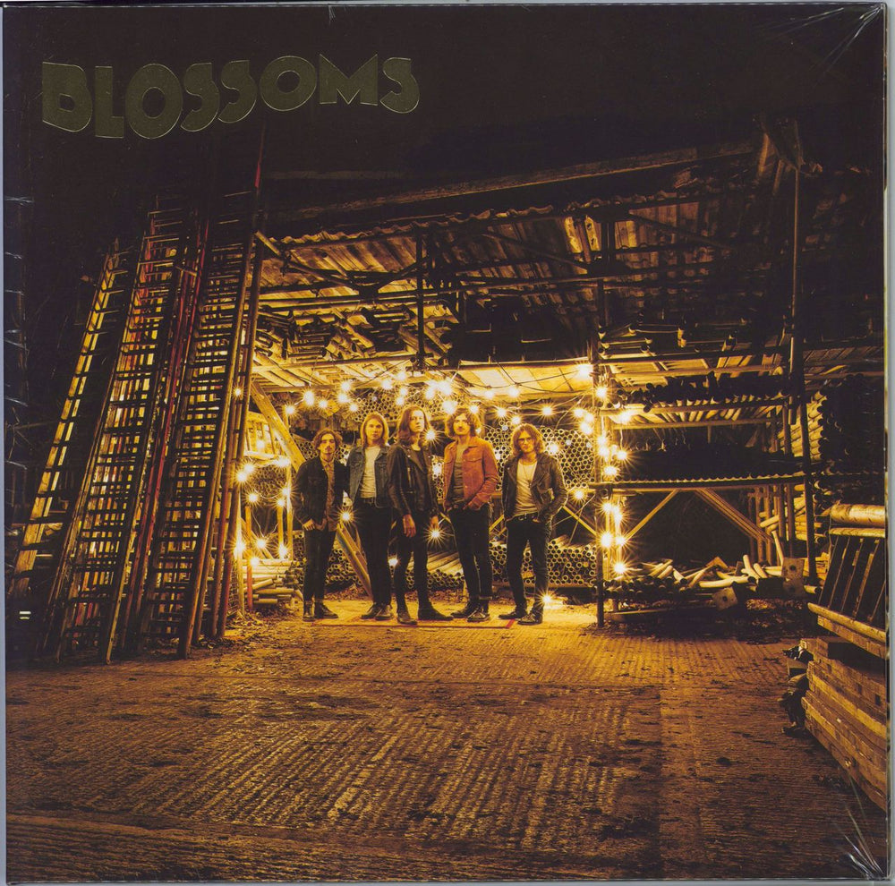 Blossoms Blossoms - 180gm UK vinyl LP album (LP record) V3156