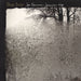 Bon Iver For Emma, Forever Ago - 1st UK vinyl LP album (LP record) CAD2809