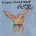 Bonnie Prince Billy Lie Down In The Light UK vinyl LP album (LP record) WIGLP222