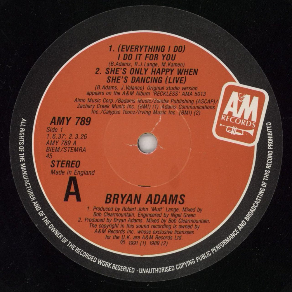 Bryan Adams (Everything I Do) I Do It For You UK 12" vinyl single (12 inch record / Maxi-single) ADA12EV45269