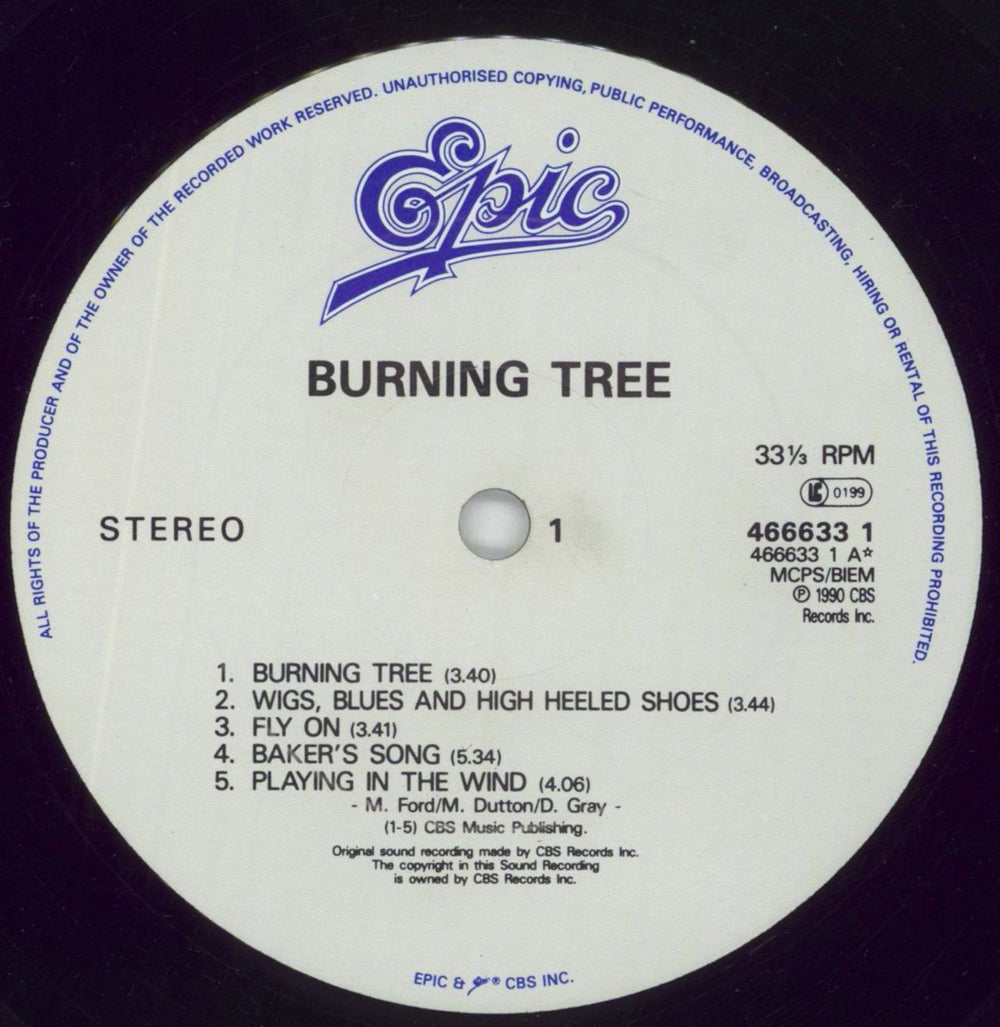 Burning Tree Burning Tree - EX UK vinyl LP album (LP record) BP9LPBU861123
