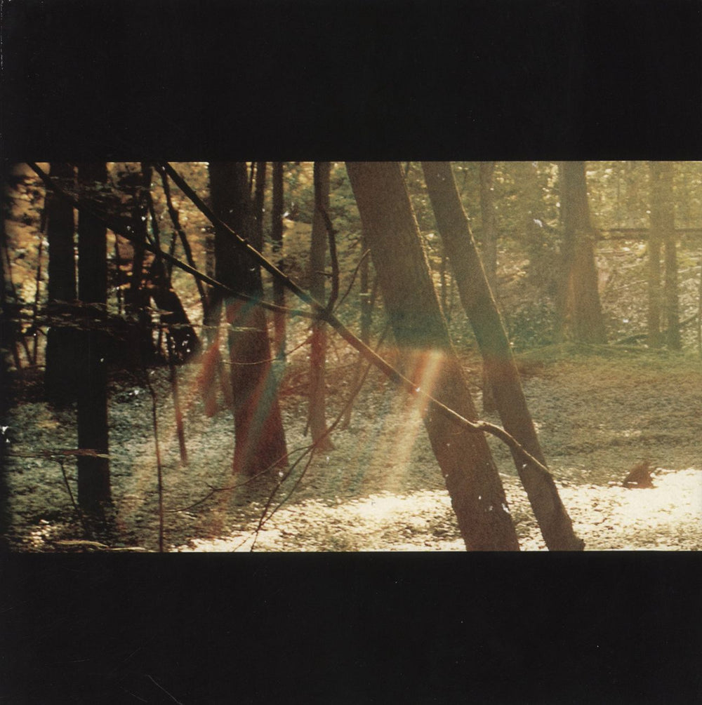 Childish Gambino Camp - 180 Gram US 2-LP vinyl record set (Double LP Album) GLS-0121-01