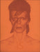 David Bowie David Bowie Is Inside UK book 978-1-851-77735-8