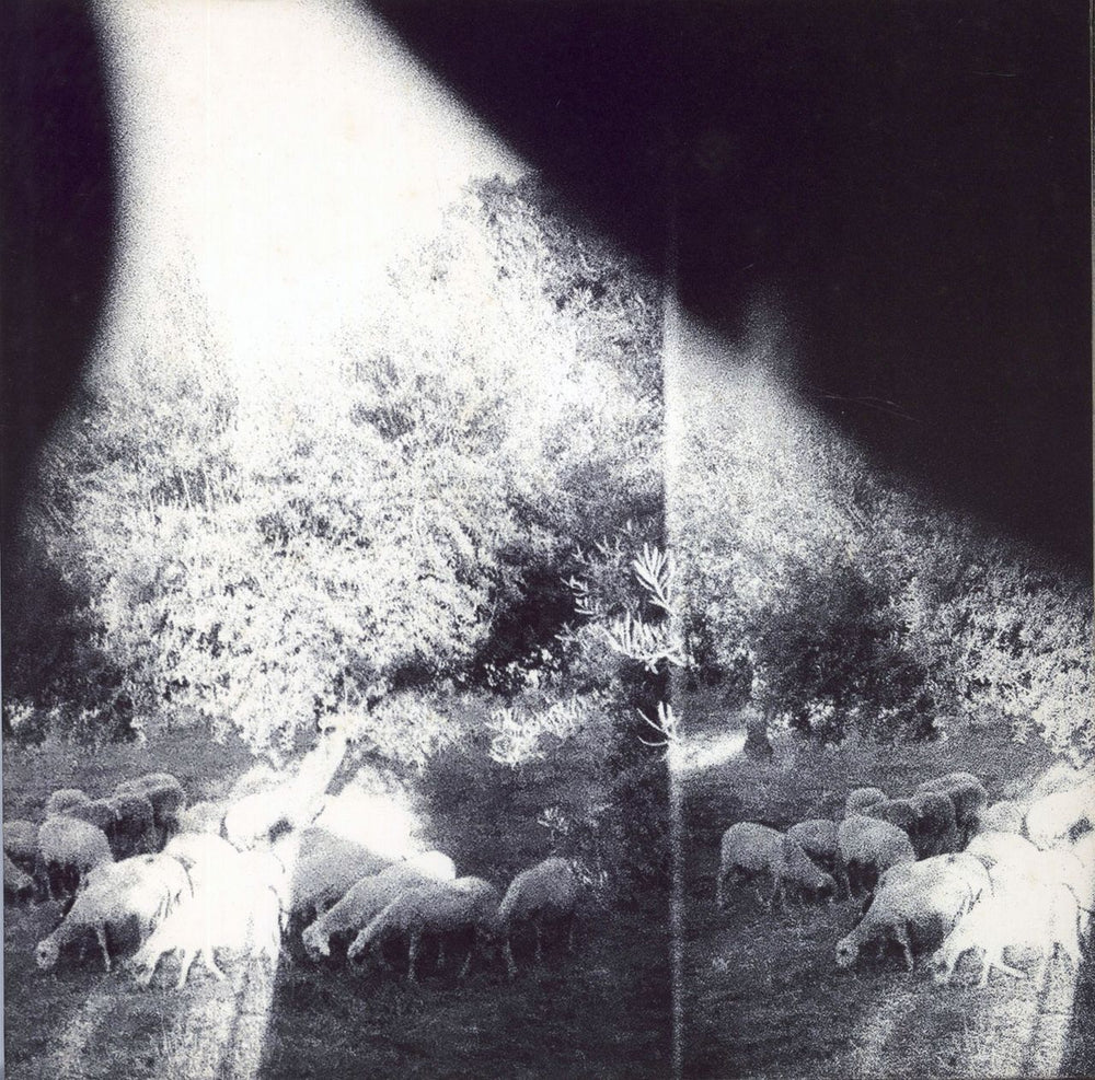 Godspeed You Black Emperor Asunder, Sweet And Other Distress Canadian vinyl LP album (LP record) CST111-1