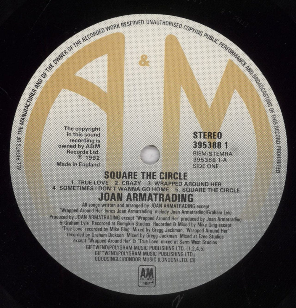 Joan Armatrading Square The Circle UK vinyl LP album (LP record) ARMLPSQ839434