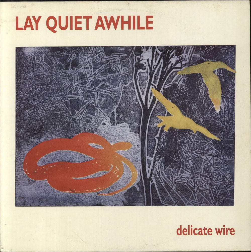 Lay Quiet Awhile Delicate Wire UK vinyl LP album (LP record) 18517-1