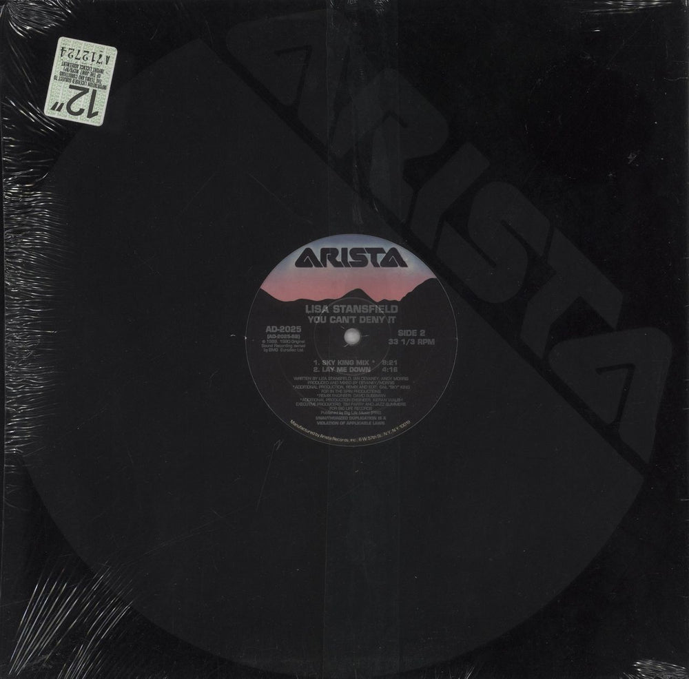 Lisa Stansfield You Can't Deny It US 12" vinyl single (12 inch record / Maxi-single)
