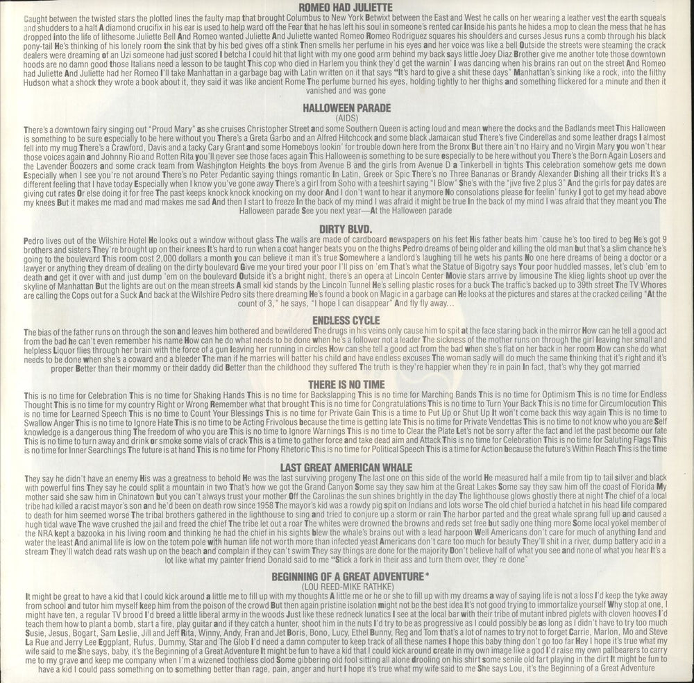 Lou Reed New York + Insert UK vinyl LP album (LP record)