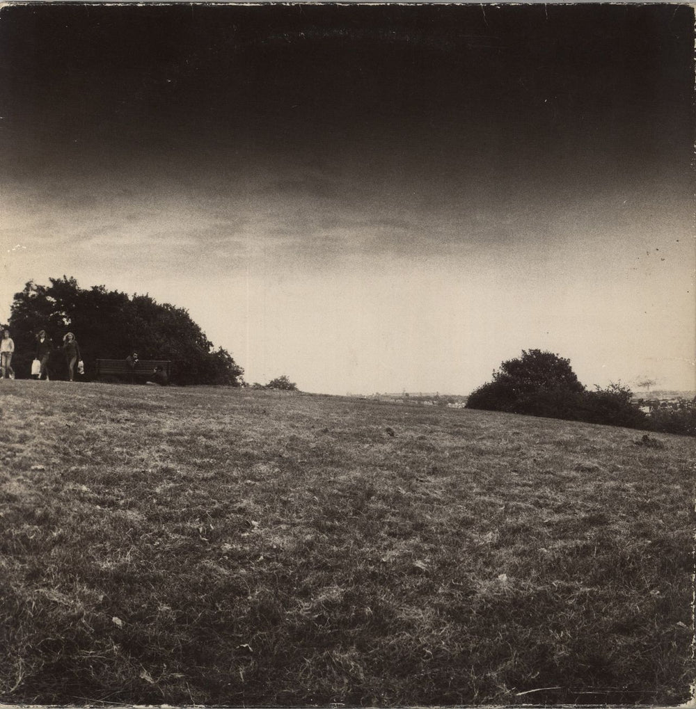 Madness The Rise & Fall - VG UK vinyl LP album (LP record)