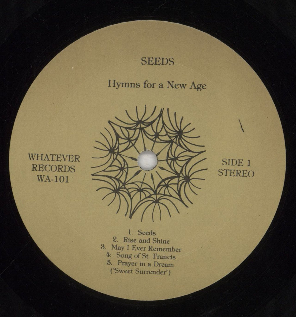 Marcus Allen Seeds - Hymns For A New Age US vinyl LP album (LP record) 8C0LPSE855302