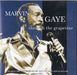 Marvin Gaye Through The Grapevine UK CD album (CDLP) TMI223