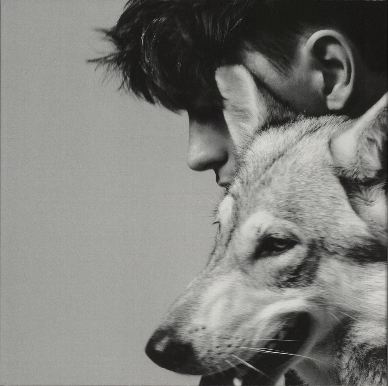 Patrick Wolf Lupercalia UK Vinyl Box Set HDDJ16