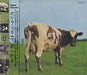 Pink Floyd Atom Heart Mother Japanese Promo CD album (CDLP) TOCP-8415