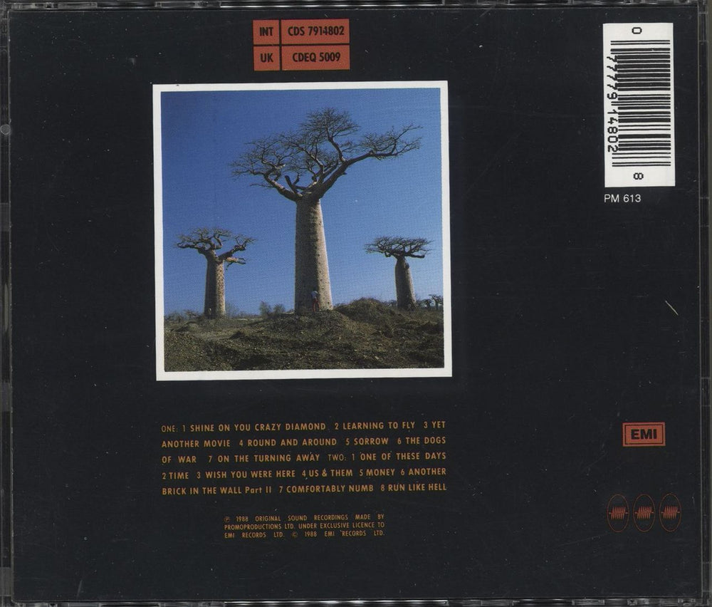 Pink Floyd Delicate Sound Of Thunder Dutch 2 CD album set (Double CD) 077779148028