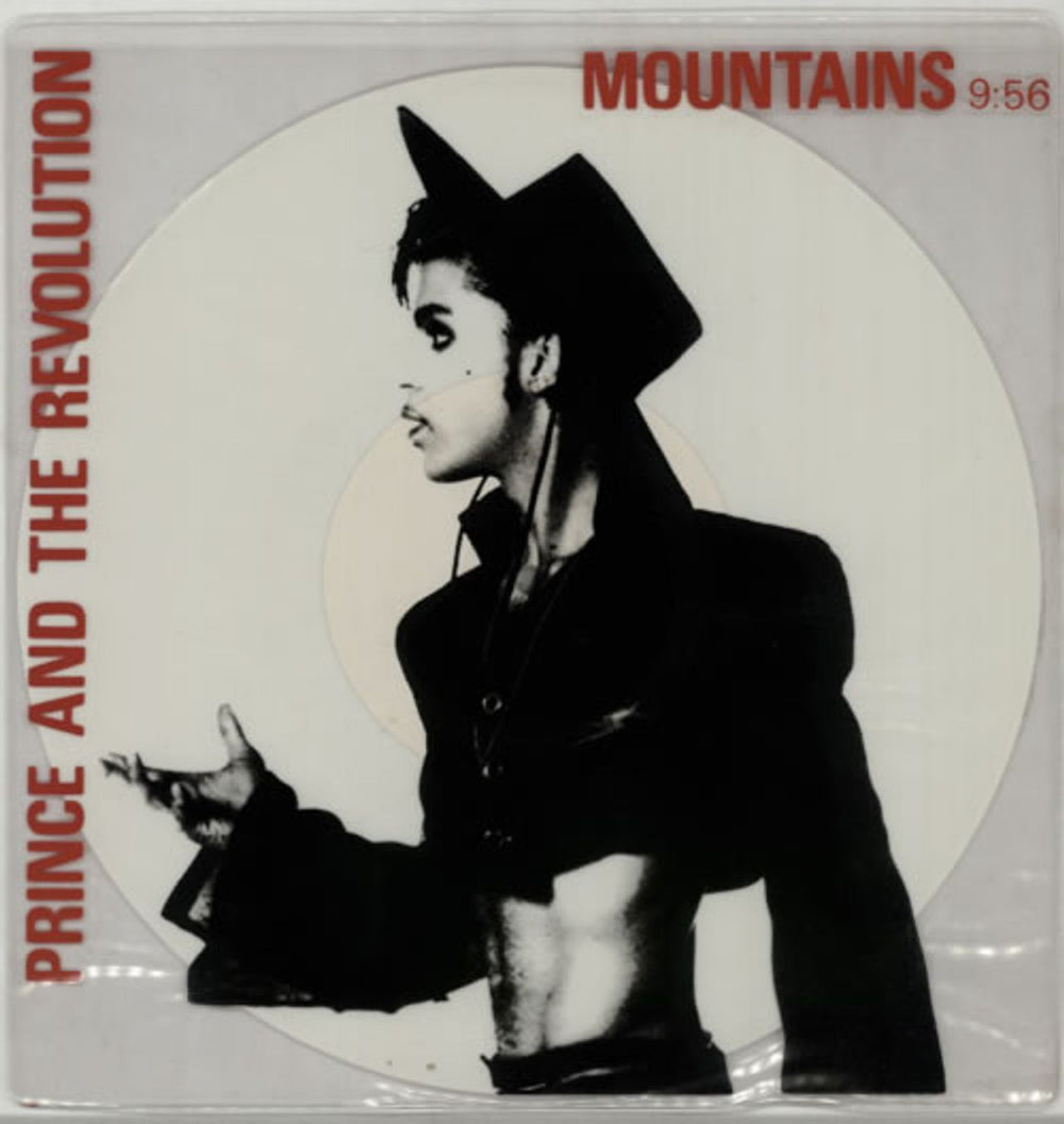 Prince Mountains - White Vinyl + stickered pvc UK 10" vinyl single (10 inch record) W8711TE