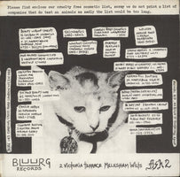 Subhumans Evolution UK 7" vinyl single (7 inch record / 45)