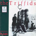 The Triffids (80s) Treeless Plain: 40th Anniversary - White Vinyl - Sealed UK vinyl LP album (LP record) TRIFFLP1