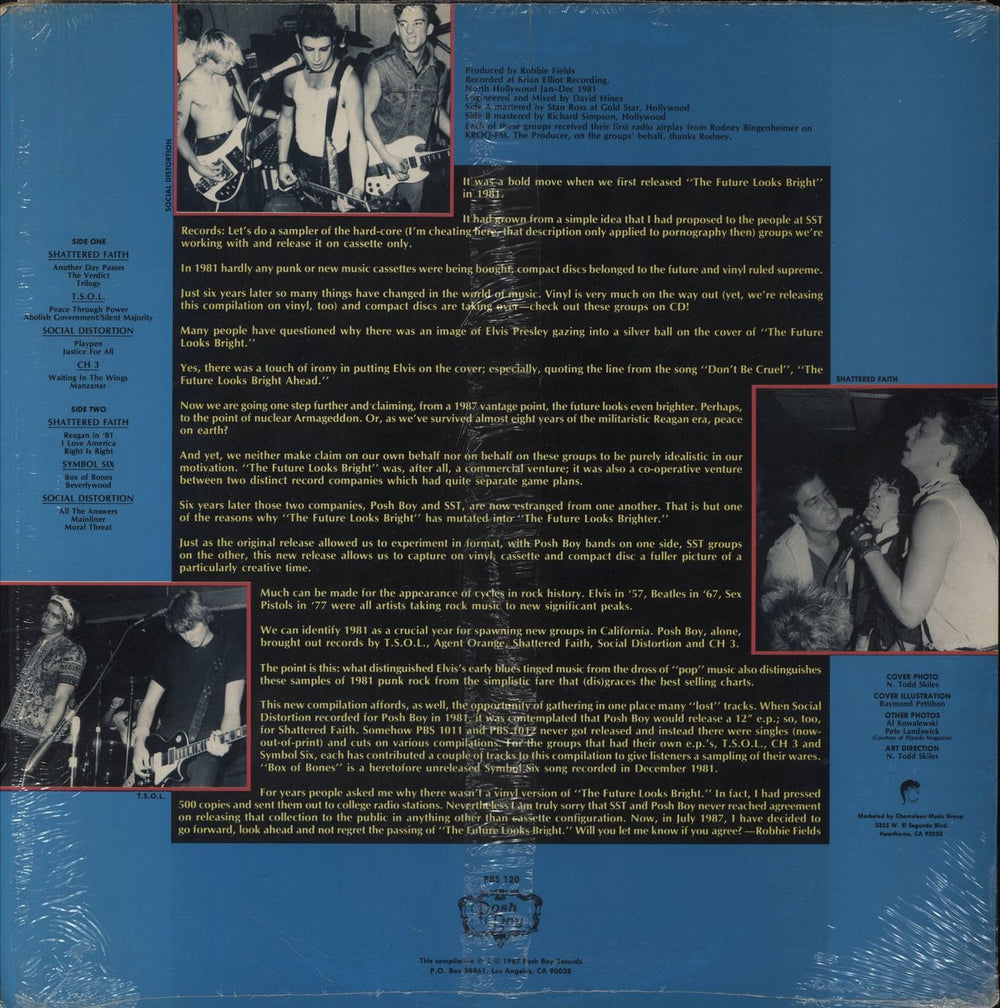 Various-Punk & New Wave The Future Looks Brighter US vinyl LP album (LP record)