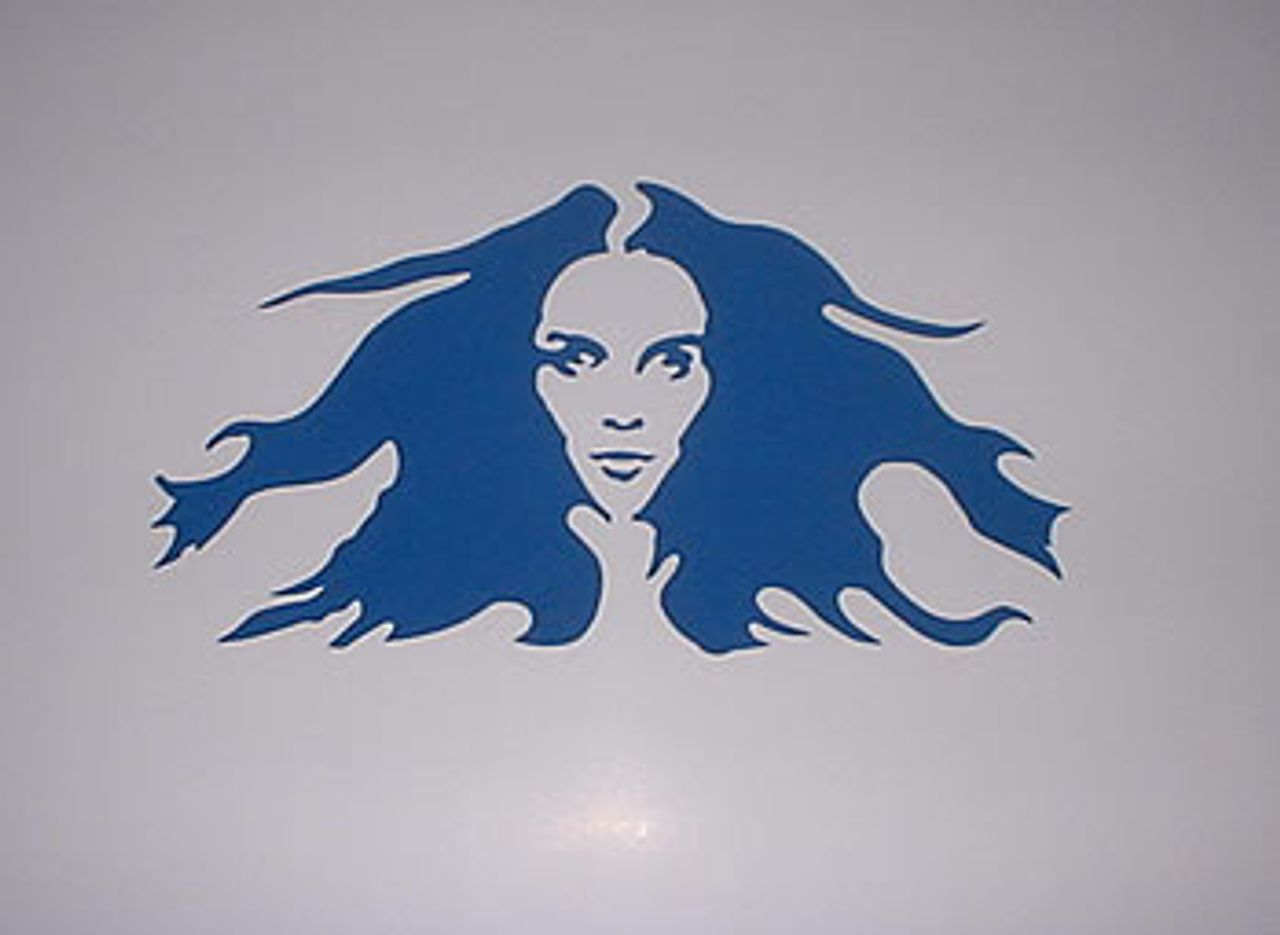 Alanis Morissette Under Rug Swept UK Promo Display — RareVinyl.com