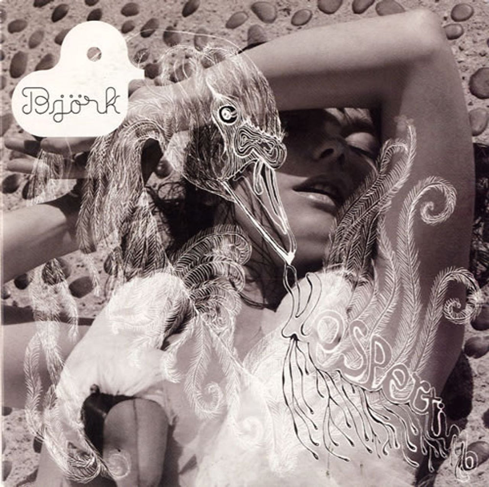 Björk Vespertine French Promo CD-ROM 8413