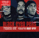 Black Eyed Peas Request Line US CD single (CD5 / 5") 069497498-2