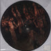Cannibal Corpse Torture - RSD UK picture disc LP (vinyl picture disc album) BOBV377PD