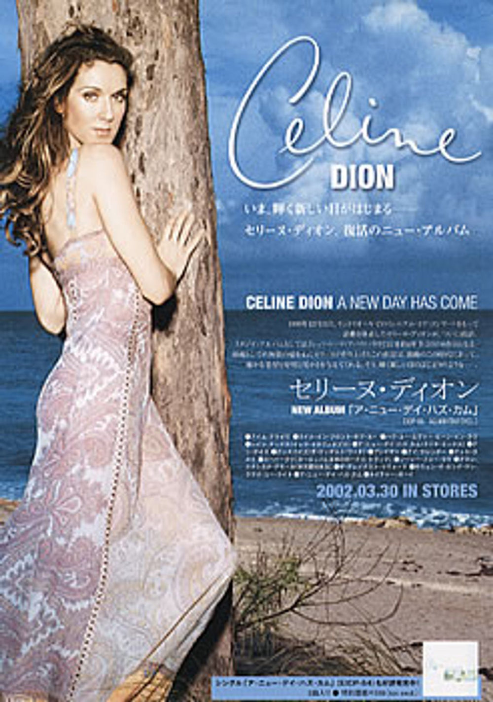Celine Dion A New Day Has Come Japanese Promo handbill HANDBILL