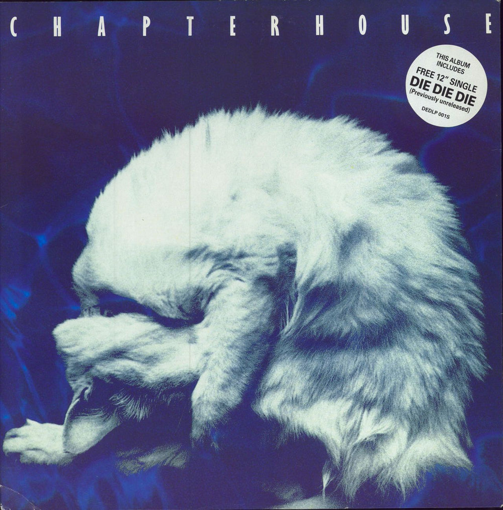 Chapterhouse Whirlpool LP + 12" UK vinyl LP album (LP record) DEDLP001S