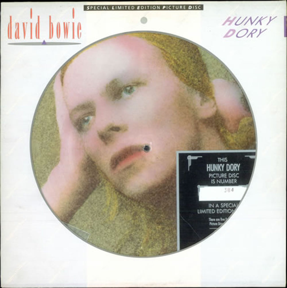 David Bowie Hunky Dory + Certificate UK picture disc LP (vinyl picture disc album) BOPIC2