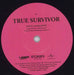 David Hasselhoff True Survivor Swedish 7" vinyl single (7 inch record / 45) HAS07TR822321