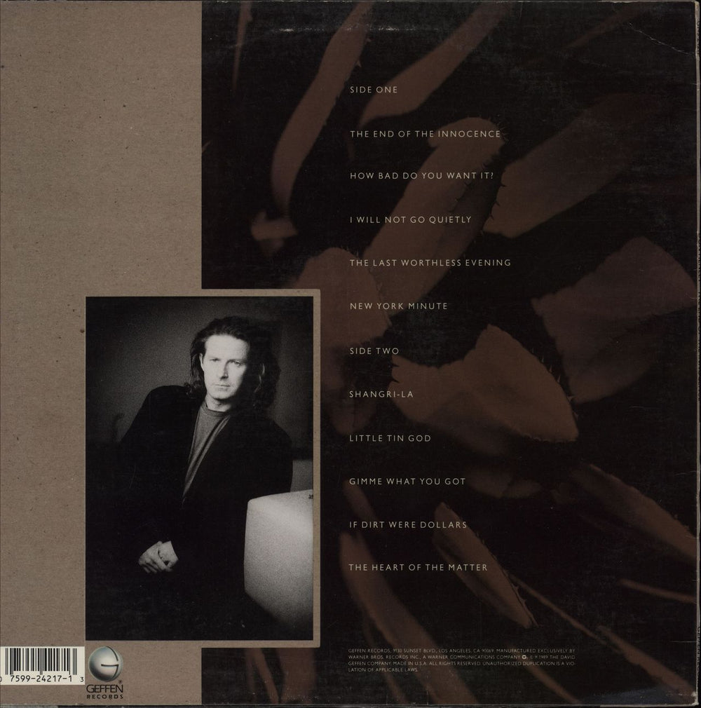 Don Henley The End Of The Innocence US vinyl LP album (LP record) 075992421713