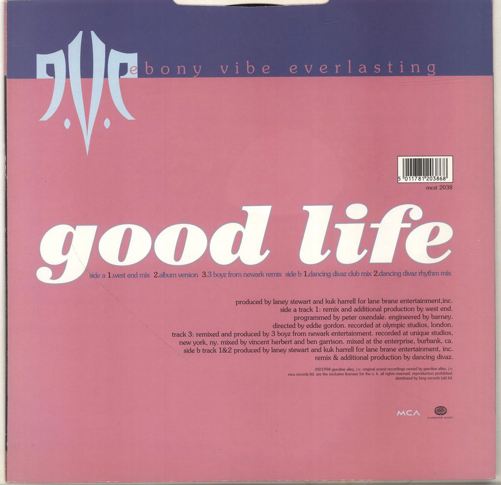 Ebony Vibe Everlasting Good Life UK 12" vinyl single (12 inch record / Maxi-single) 5011781203868