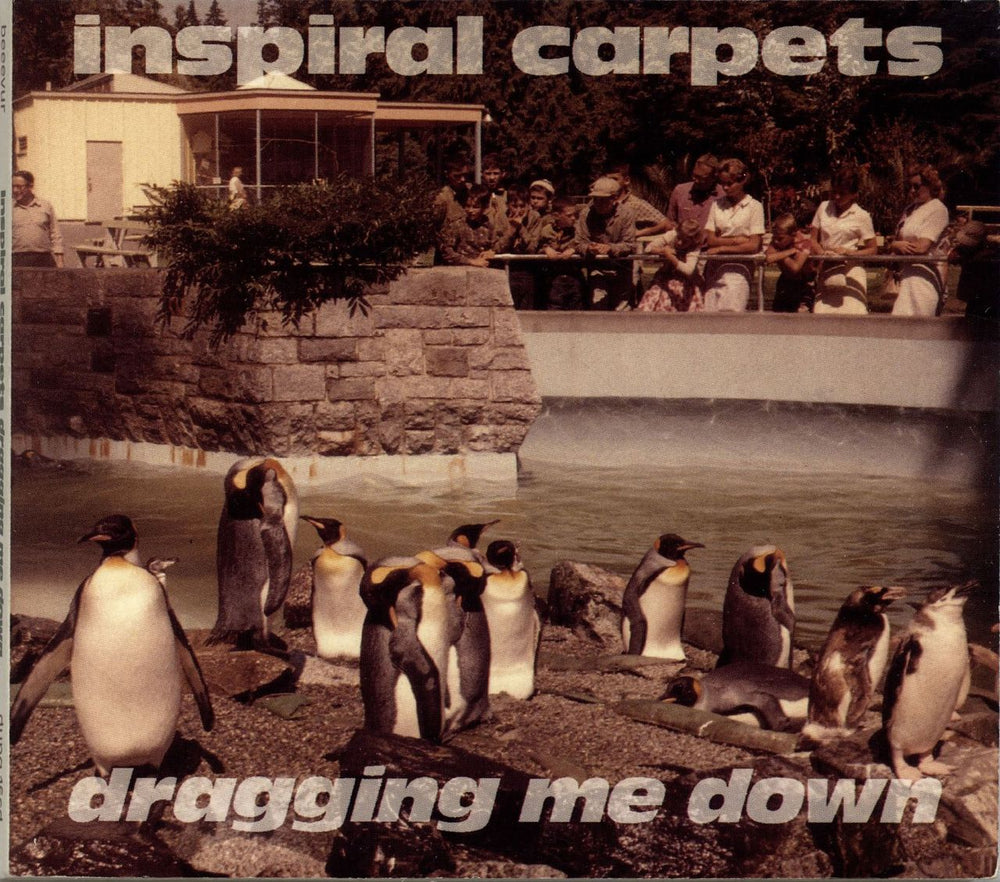 Inspiral Carpets Dragging Me Down UK CD single (CD5 / 5") DUNG16CD