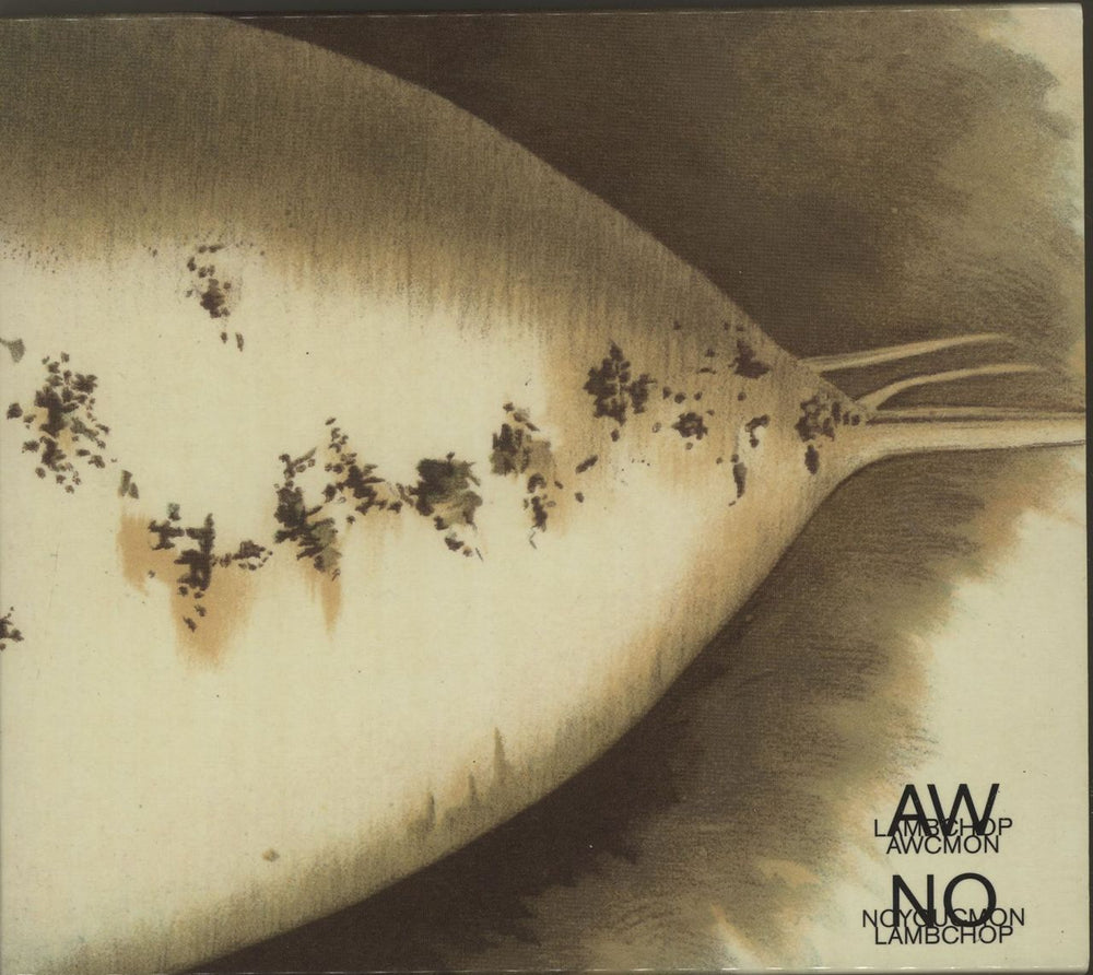 Lambchop Aw C'Mon / No You C'Mon UK 2 CD album set (Double CD) 724359589008