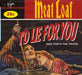 Meat Loaf I'd Lie For You (And That's The Truth) - Digipak UK CD single (CD5 / 5") VSCDG1563