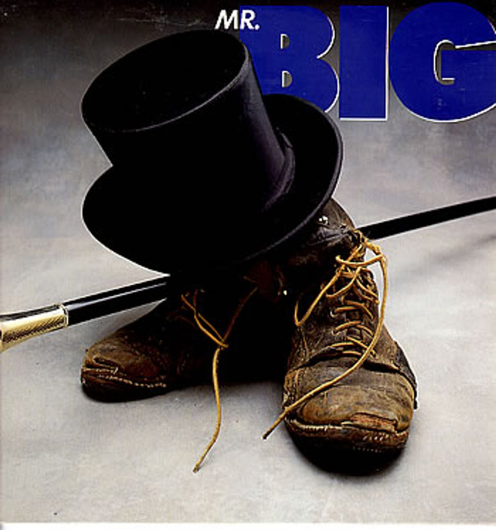 Mr Big (US) Mr Big US vinyl LP album (LP record) 81990-1