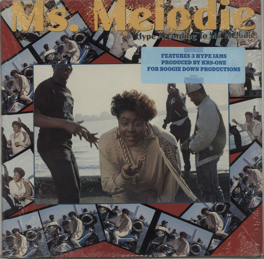 Ms. Melodie Hype According To Ms. Melodie US 12" vinyl single (12 inch record / Maxi-single) 1156-1-JD