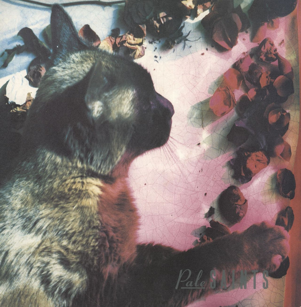 Pale Saints The Comforts Of Madness UK vinyl LP album (LP record) CAD0002