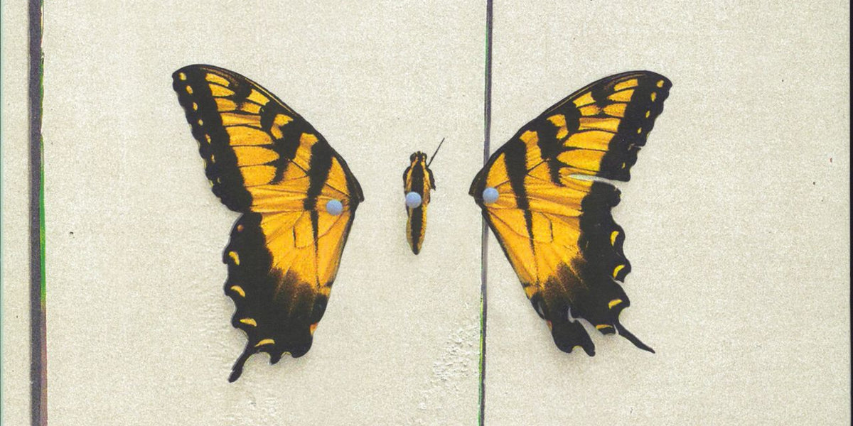Paramore - Brand New Eyes - LP - Factory Records
