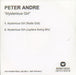 Peter Andre Mysterious UK Promo CD-R acetate CD-R