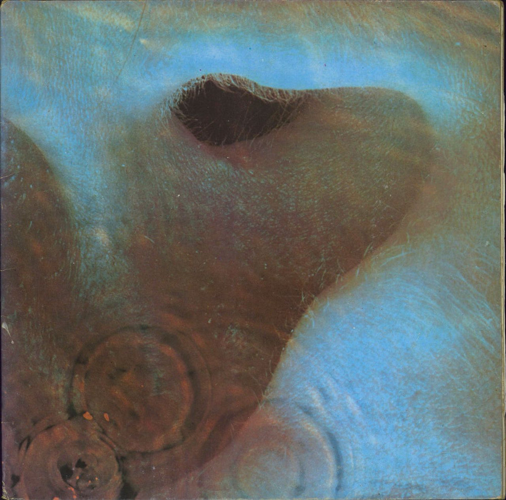 Pink Floyd Meddle Italian vinyl LP album (LP record) 3C-062-04917