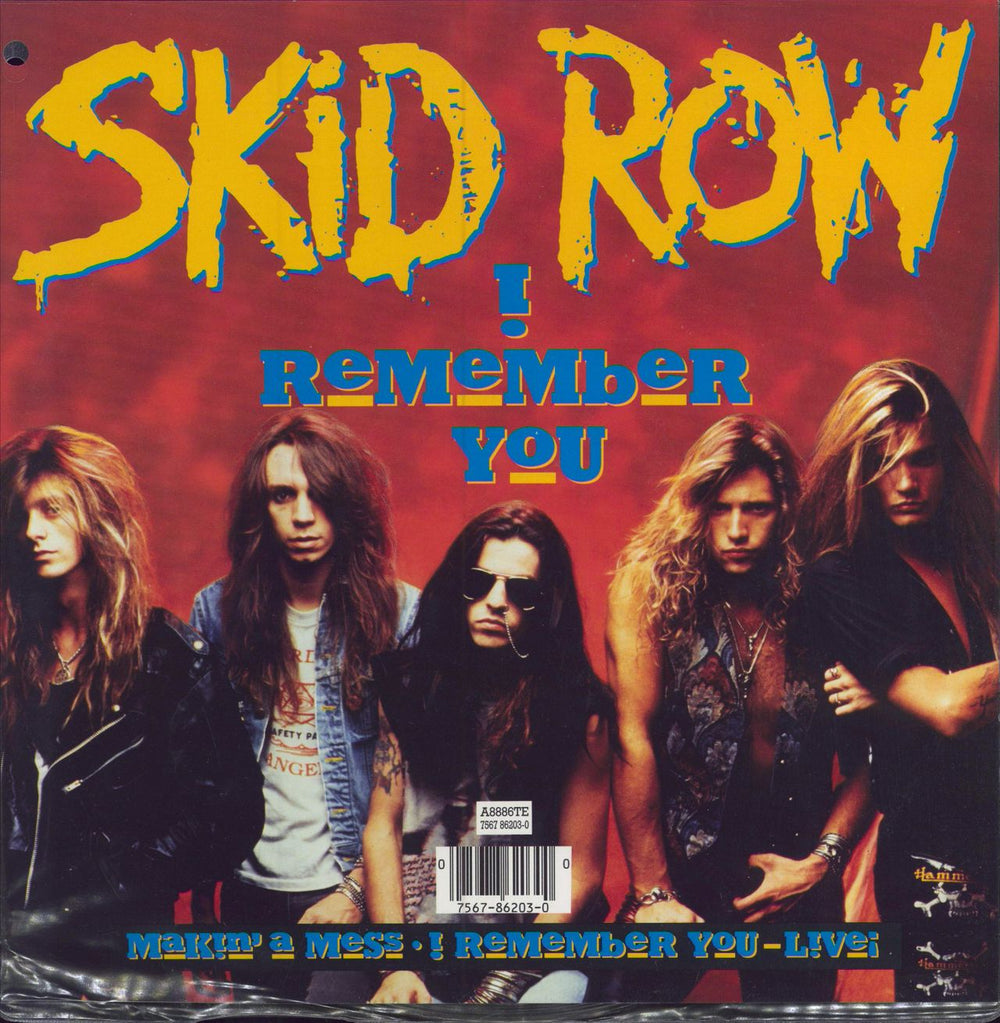 Skid Row (80s) I Remember You - EX UK 10" vinyl single (10 inch record) 075678620300