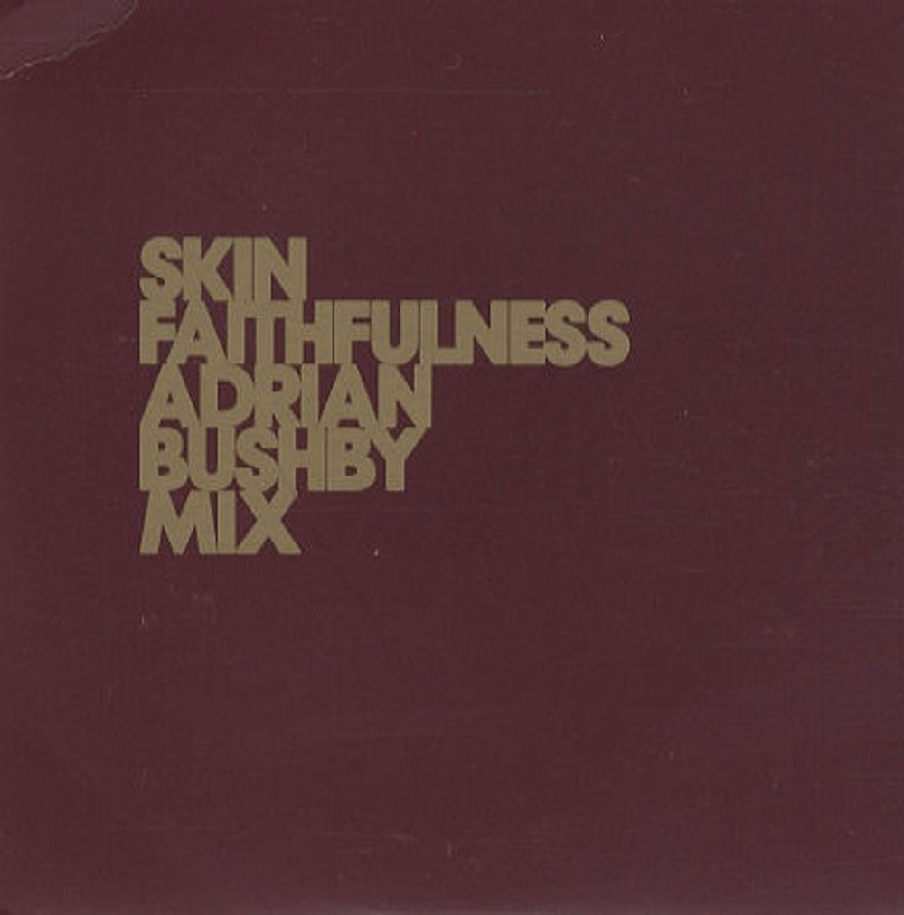 Skin [Skunk Anansie] Faithfulness - Adrian Bushby Mix UK Promo CD single (CD5 / 5") CDEMDJ624